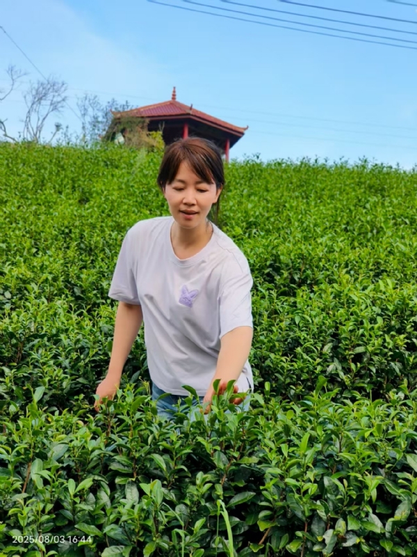Q绮芳的第一张照片--莆田闪婚服务中心